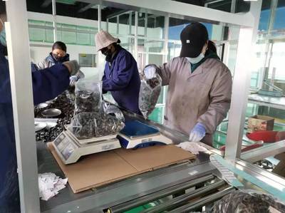 《那山那水我代言》龍頭企業助力鄉村振興